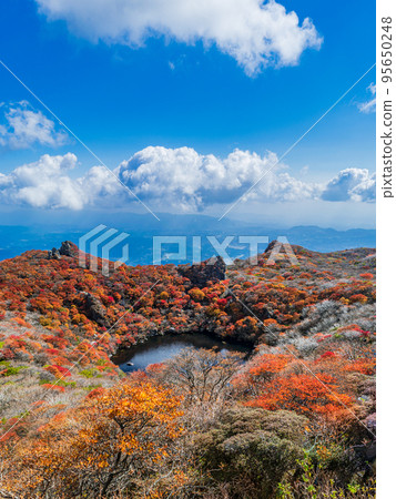 Mt. Taisen is the third highest mountain in the Kokonoe mountain range, with a large colony of Rhododendron japonicum in spring, a gradation of colored leaves in autumn, and a blanket of snow in winter. Mt. Taisen is the third highest mountain in the Kokonoe mountain range, with a large colony of Rhododendron japonicum in spring, a gradation of colored leaves in autumn, and a blanket of snow in winter. 95650248