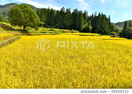 Aoni Village / Aoni Rice Terraces (Hakuba Village, Nagano Prefecture) [September 2022] 95650522