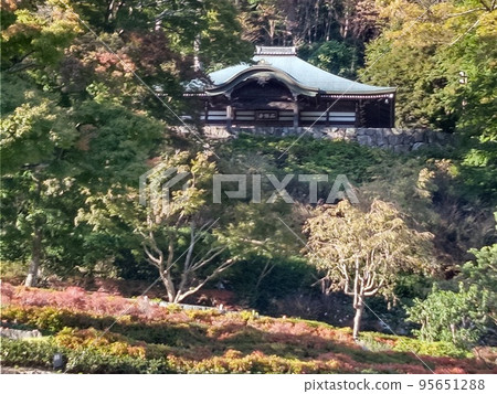 Katsuoji Temple just before autumn leaves Katsuoji Temple just before autumn leaves 95651288