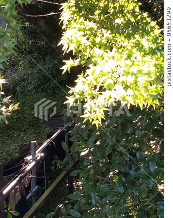 秋葉前的勝雄寺 秋葉前的勝雄寺 95651299