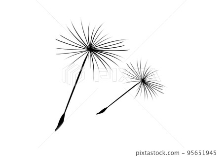 Dandelion fluff flies away from the wind. Dandelion fluff flies away from the wind. 95651945