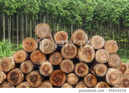 Logs stacked against a background of trees 95654250