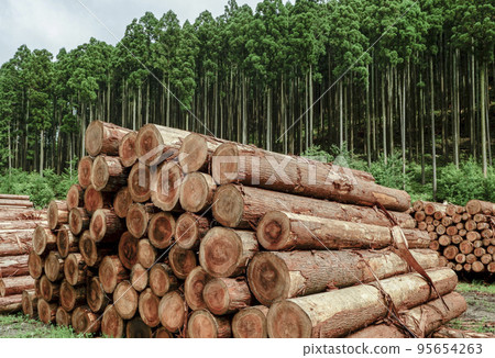 A lot of logs stacked against the backdrop of the forest 95654263