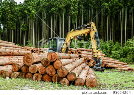 Fallen logs and heavy machinery against the backdrop of the forest 95654264