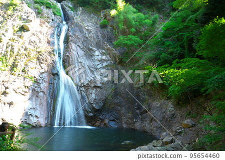 [Japan's Top 100 Waterfalls] Summer Nunobiki Falls Otaki 2 Chuo-ku, Kobe City, Hyogo Prefecture 95654460