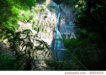 [Japan's Top 100 Waterfalls] Summer Nunobiki Falls Otaki 14 Chuo Ward, Kobe City, Hyogo Prefecture 95654474