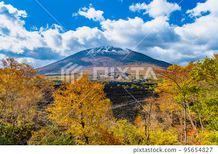 Iwate Prefecture, Mt. Iwate dyed in autumn colors ~Yakehashiri lava flow~ 95654827