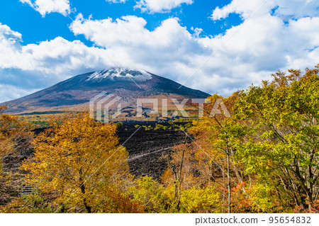 岩手縣的岩手山被染成秋天的色彩~燒橋熔岩流~ 岩手縣的岩手山被染成秋天的色彩~燒橋熔岩流~ 95654832