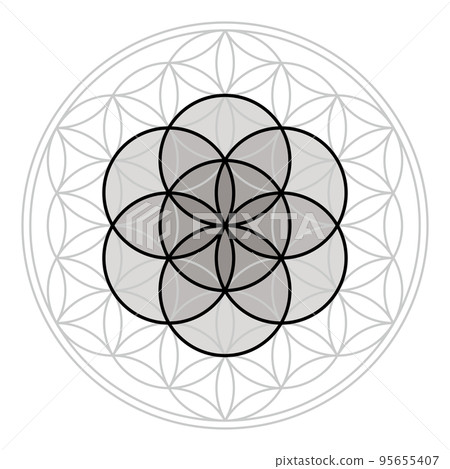 生命種子放在神聖幾何生命之花上，單色 95655407