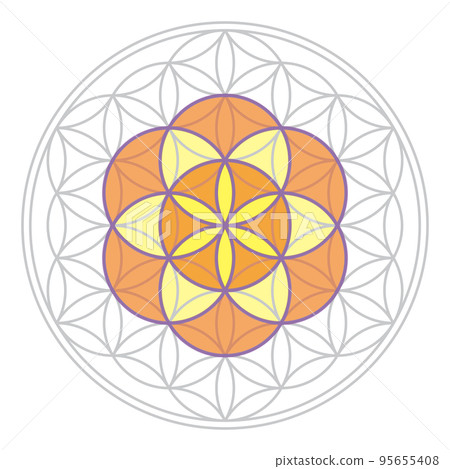 生命的種子,生命的種子放在神聖的幾何之花上 生命的種子,生命的種子放在神聖的幾何之花上 95655408