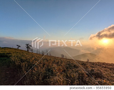 一森朝日 3 一森朝日 3 95655950
