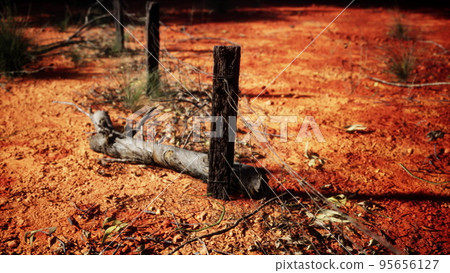 Fragment of an old fence with rusty barbed wire Fragment of an old fence with rusty barbed wire 95656127