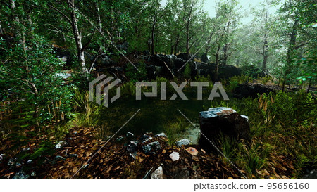 forest spring landscape with overgrown pond 95656160