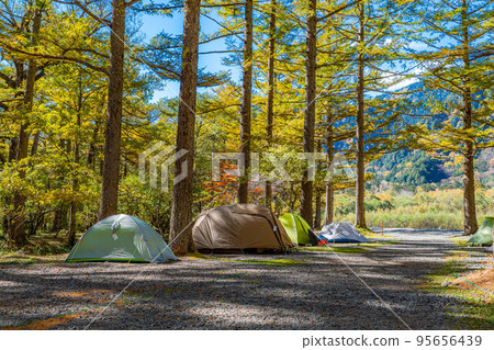 [Camp material] Autumn campsite [Nagano Prefecture] 95656439
