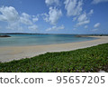 Hamahiga Island White sand beach Blue sky Green carpet 95657205