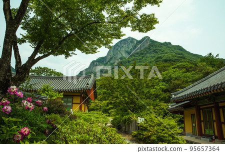 Baekamsan Mountain seen from the grounds of Baekyangsa Temple 95657364