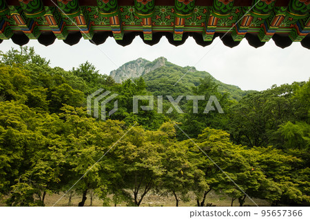 Baekamsan Mountain seen from the grounds of Baekyangsa Temple 95657366