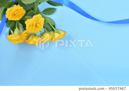 Rose of yellow 95657467