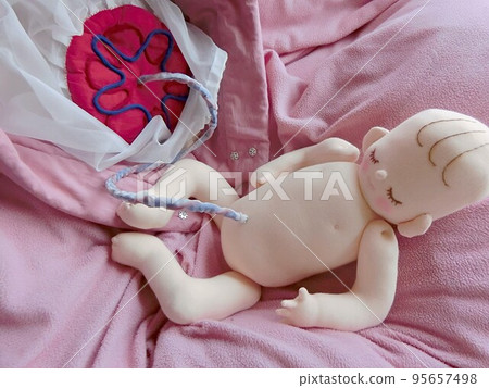 Warmth life size fetus doll with placenta, umbilical cord and uterus 95657498