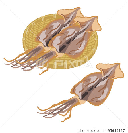 魷魚乾的插圖 魷魚乾的插圖 95659117