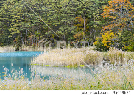 Autumn Goshikinuma Nature Trail, Bentennuma, Kitashiobara Village, Fukushima Prefecture 95659625