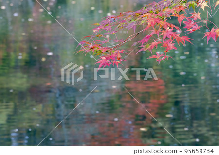 福島縣北鹽原村秋季五色沼自然步道琉璃沼 95659734