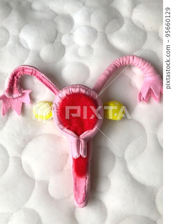 Shows how the uterine lining peels off for menstrual guidance Shows how the uterine lining peels off for menstrual guidance 95660129