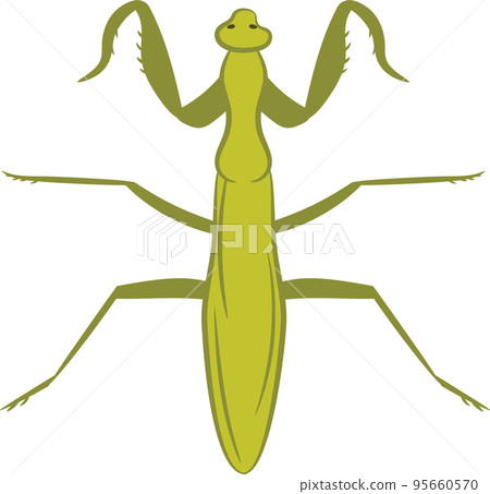 Mantis 95660570
