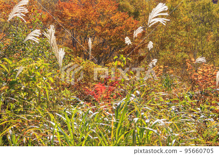 野澤溫泉秋葉長坂纜車 95660705