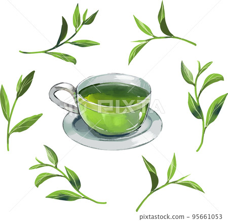 綠茶和茶葉水彩風格矢量插圖集 95661053