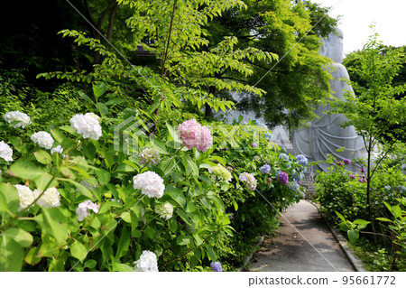 奈良縣坪坂寺 奈良縣坪坂寺 95661772