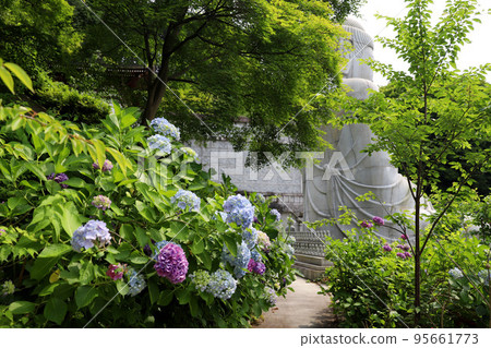 奈良縣坪坂寺 95661773