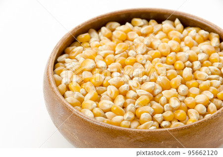 popcorn seeds dried corn popcorn seeds dried corn 95662120