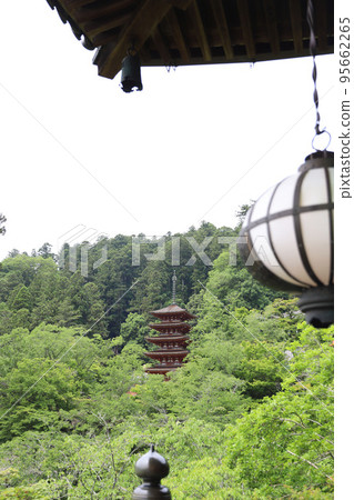 奈良縣長谷寺 奈良縣長谷寺 95662265