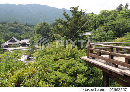 奈良縣長谷寺 奈良縣長谷寺 95662267