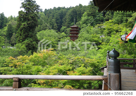 奈良縣長谷寺 奈良縣長谷寺 95662268