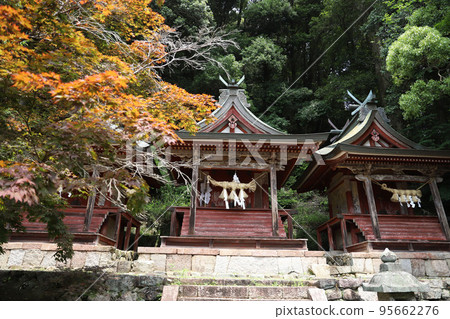 奈良縣長谷寺 奈良縣長谷寺 95662276