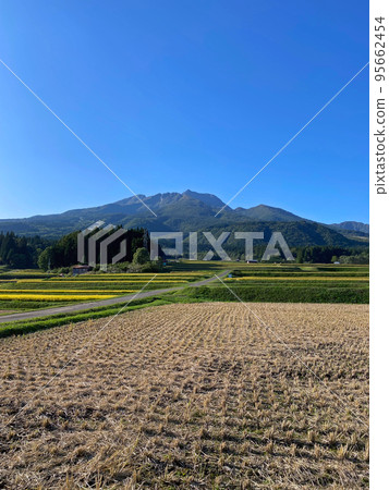 [Myoko City, Niigata Prefecture] Mt. Myoko in November after rice harvesting 95662454