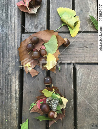 Acorn and fallen leaves 95662607