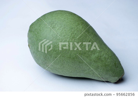 Bael fruit or stone apple or wood apple, Aegle marmelos, is a rare species of tree native to the Indian subcontinent and Southeast Asia  Satara, Maharashtra, India 95662856