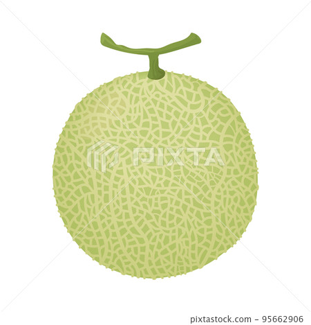 有可見網格的瓜 95662906