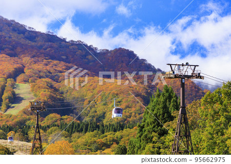秋葉觀賞妙高山和天空纜車 秋葉觀賞妙高山和天空纜車 95662975