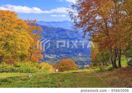 秋葉觀賞妙高山和天空纜車 秋葉觀賞妙高山和天空纜車 95663006