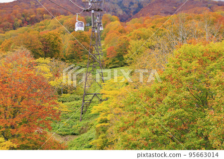 Mt. Myoko and Sky Cable during autumn foliage viewing 95663014