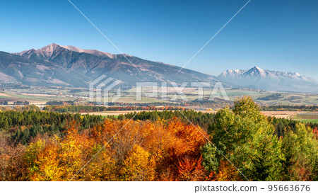 Autumn landscape with colorful trees and high peaks at background 95663676