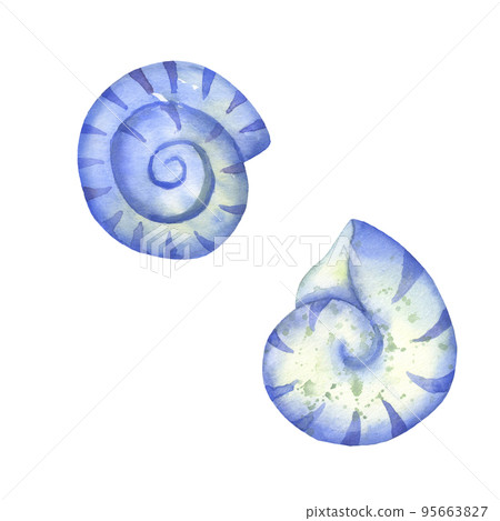 Set of blue seashells isolated on white. Watercolor illustration. 95663827