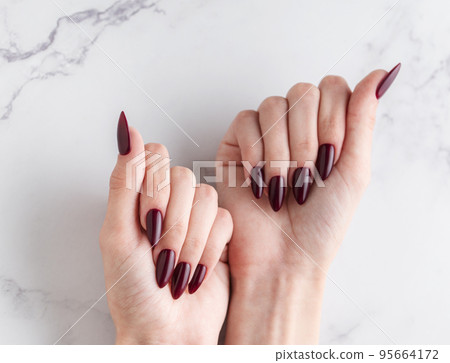 Hands of a young woman with dark red manicure on nails 95664172