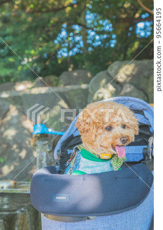 彥根城和狗 95664195