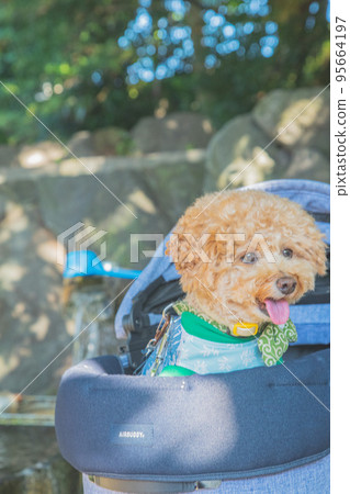 彥根城和狗 95664197