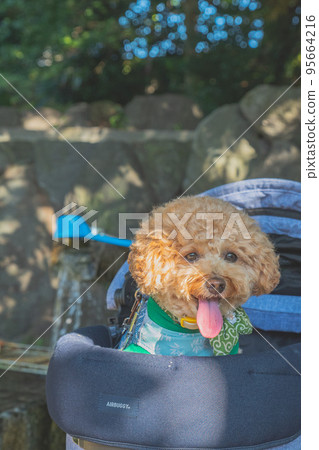 Hikone Castle and dog Hikone Castle and dog 95664216